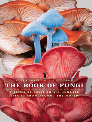 cover image of The Book of Fungi